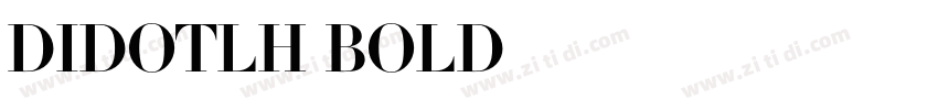 DidotLH Bold字体转换